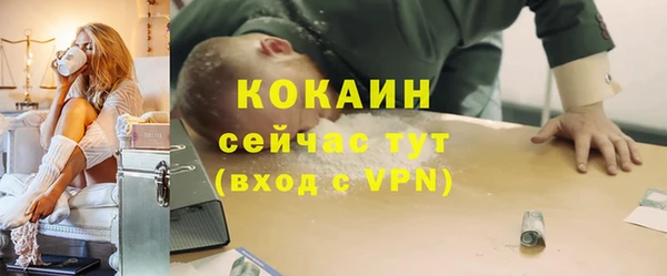 спиды Богородицк