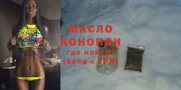 спиды Богородицк