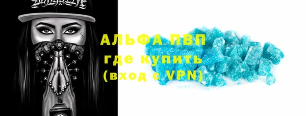 сатива Баксан