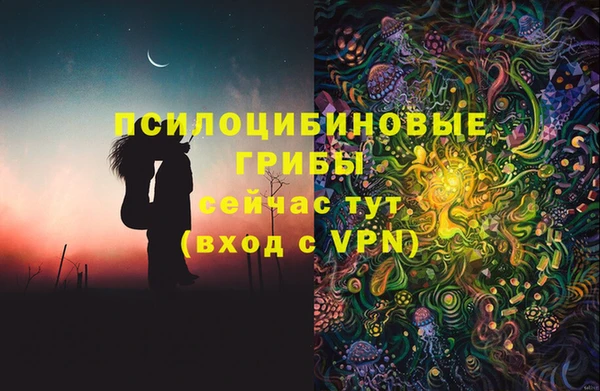 эйфоретик Богданович