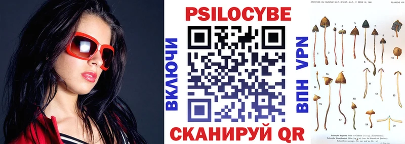 дарнет шоп  Воркута  Псилоцибиновые грибы мухоморы 